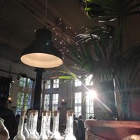  at Hagedis in The Hague