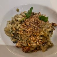 Orzo with mushroom sauxe  at Hagedis in The Hague