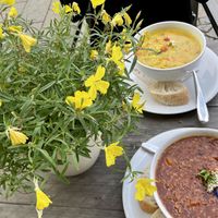 table at organics - Naturkost am Dom in Erfurt