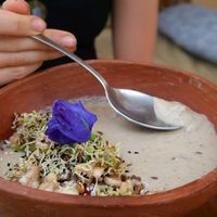 banana walnut smoothie bowl, big and filling! at Shantaram Raw in Arambol
