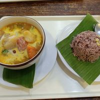 Massaman curry with rice at Soul Organics in Koh Phangan