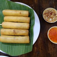 Spring rolls at Soul Organics in Koh Phangan