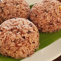 Rice at Soul Organics in Koh Phangan