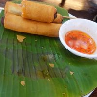 Spring rolls at Soul Organics in Koh Phangan