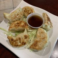 potstickers at Teapot Vegetarian House in Redmond