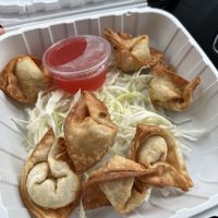 Wontons  at Teapot Vegetarian House in Redmond