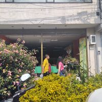 Resturante, buena variedad en productos veganos at Jengibre in Bogota