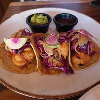 Coliflower tacos at Lola Valentina in Isla Mujeres