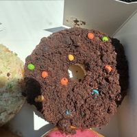 Cosmic brownie  at Beechwood Doughnuts in St Catharines