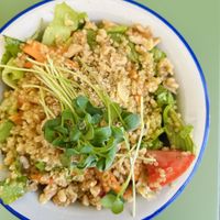 Quinoa salad (tapa) with carrot, cucumber, tomato, lettuce and pine nuts in a (too oily for me) dressing 🌱  at Astrid in Malaga