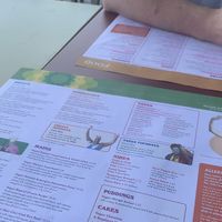   at Visto Lounge in Torquay