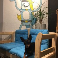 Pet friendly!!! Our favorite!! at Super Jami Kitchen in Stuttgart