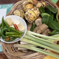 Ingredients for green curry paste   at Green Garden & May Kaidee Cooking School in Bangkok
