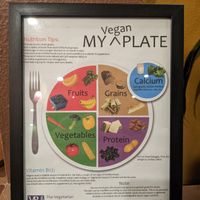 Vegan My Plate wall display at Violette's Vegan Organic Cafe and Juice Bar in Las Vegas