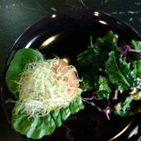 Sun Burger at Evolve Organics in Teneriffe