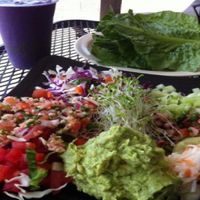 Raw Plate and Smoothie at Field of Greens in Houston