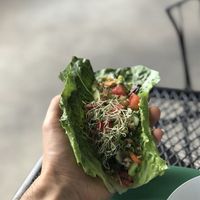 A stuff taco, delicious and fresh. at Field of Greens in Houston