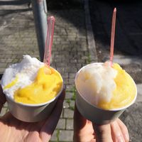 Gelati! at Puro & Bio in Lodi