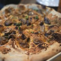 Santa crawl at Dogfish Head Brewing in Rehoboth Beach