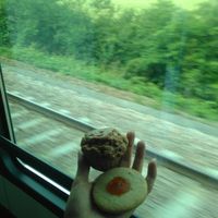 Delicious cookie and muffin, perfect treats to take on the sleeptrain ;) at Bar Pasticceria Rovida in Milan