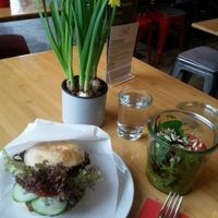 Falafel-Burger und Beilagensalat at Sol in Konstanz