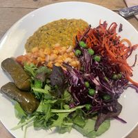   at Seeds to Totnes in Totnes