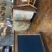   at Seeds to Totnes in Totnes