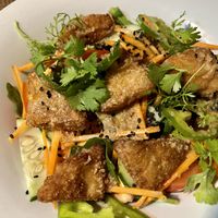 Tofu salad   at Cafe del mundo in Luang Prabang