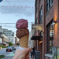 Vegan chocolate and vegan raspberry at Earnest Ice Cream - Quebec St in Vancouver