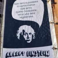 Einstein likes it ✅ at Sali and Pistacchi in Domodossola