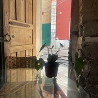 From a little table in front of  at Escarola in Guanajuato