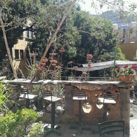 jardin at Escarola in Guanajuato