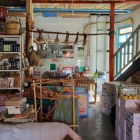 The shop at Andriakon in Andros