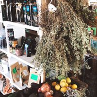 Fresh at Andriakon in Andros