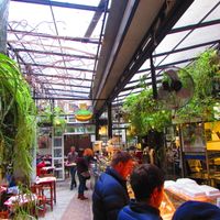 Chimera at Chimera in Krakow