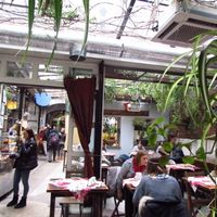 Chimera at Chimera in Krakow