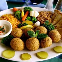 vegan falafel at Shawarma King in Montichiari