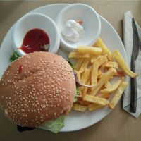 quinoa burger with fries at Punto Vegano in Madrid