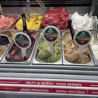 All vegan flavors (3)  at Vanilla Gelati Italiani in Milan