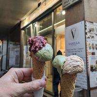  at Vanilla Gelati Italiani in Milan