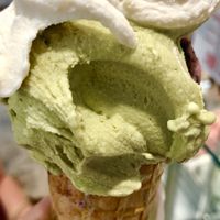Pistachio   at Vanilla Gelati Italiani in Milan