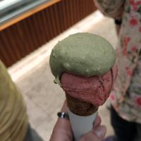 Vegan pistachio + dark chocolate with raspberry at Vanilla Gelati Italiani in Milan