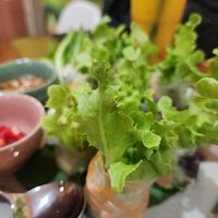 Fresh rolls at House of Fruit Shakes in Vientiane