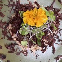   at Naturalie Bistro in Rio De Janeiro