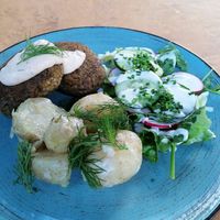 Cutlets with potatoes at Lokal Vegan Bistro in Warsaw