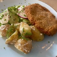 Vegan polish food!  at Lokal Vegan Bistro in Warsaw