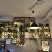   at Lokal Vegan Bistro in Warsaw