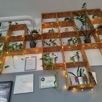 Beautiful wall of plants at Lokal Vegan Bistro in Warsaw