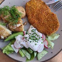  at Lokal Vegan Bistro in Warsaw