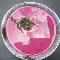  at Lokal Vegan Bistro in Warsaw